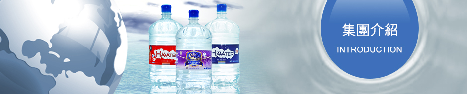 集團介紹 集團介紹